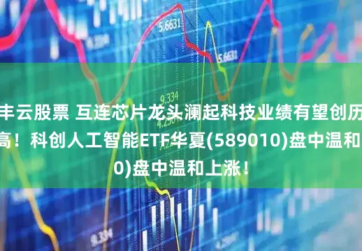 丰云股票 互连芯片龙头澜起科技业绩有望创历史新高！科创人工智能ETF华夏(589010)盘中温和上涨！