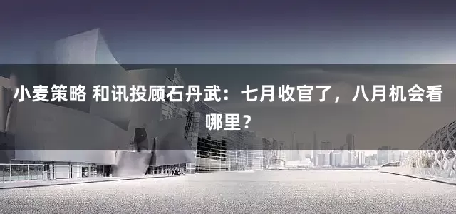 小麦策略 和讯投顾石丹武：七月收官了，八月机会看哪里？