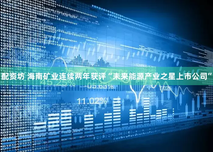 配资坊 海南矿业连续两年获评“未来能源产业之星上市公司”
