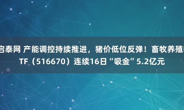 启泰网 产能调控持续推进，猪价低位反弹！畜牧养殖ETF（516670）连续16日“吸金”5.2亿元