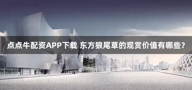 点点牛配资APP下载 东方狼尾草的观赏价值有哪些?